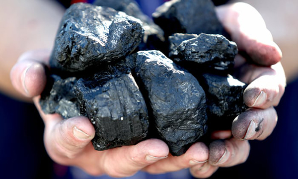 تامین کننده انواع زغال | شرکت بازرگانی کانیا